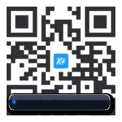 系统版 iOS 二维码